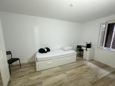 Annonce Location Appartement Toulouse 31
