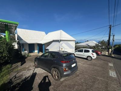 Annonce Vente Immeuble Saint-joseph 974