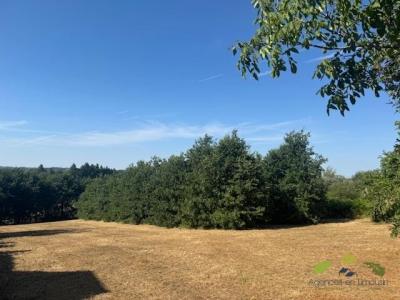 Annonce Vente Terrain Lonzac 19