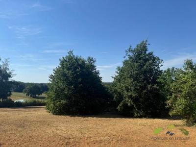 Acheter Terrain Lonzac 31360 euros