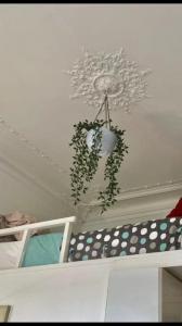 Louer Appartement Paris-8eme-arrondissement 900 euros