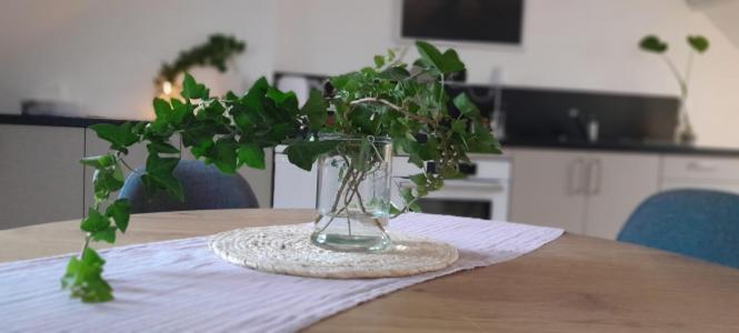 Louer Appartement 20 m2 Orleans