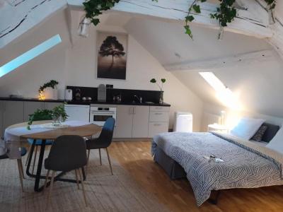 Louer Appartement Orleans 750 euros