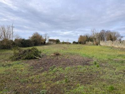 For sale Brettes RUFFEC 8 rooms 253 m2 Charente (16240) photo 2