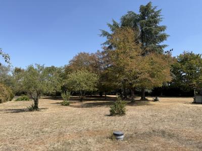 For sale Verteuil-sur-charente 6 rooms 170 m2 Charente (16510) photo 3