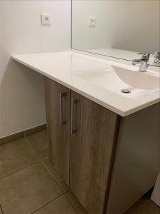 Louer Appartement Toulouse 729 euros