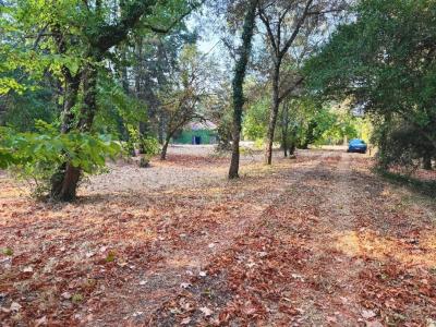 Acheter Prestige Vignaux Haute garonne