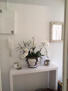 Louer Appartement Bordeaux 515 euros