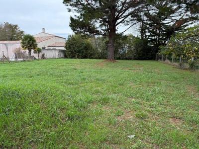 For sale Saint-georges-d'oleron 784 m2 Charente maritime (17190) photo 0