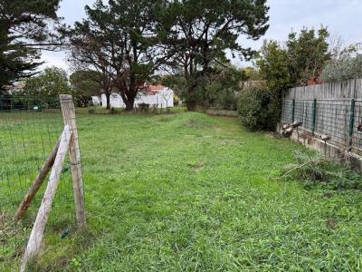 For sale Saint-georges-d'oleron 784 m2 Charente maritime (17190) photo 2