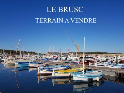 For sale Six-fours-les-plages 1052 m2 Var (83140) photo 0
