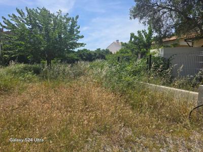 For sale Frontignan 308 m2 Herault (34110) photo 0