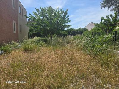 Annonce Vente Terrain Frontignan 34