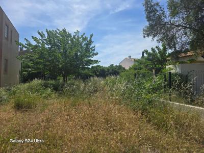Acheter Terrain 308 m2 Frontignan