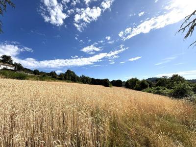 For sale Bourg-argental 700 m2 Loire (42220) photo 0
