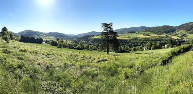 For sale Bourg-argental 700 m2 Loire (42220) photo 1