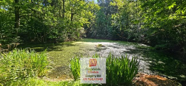 Annonce Vente Domaine forestier Ferte-sous-jouarre 77
