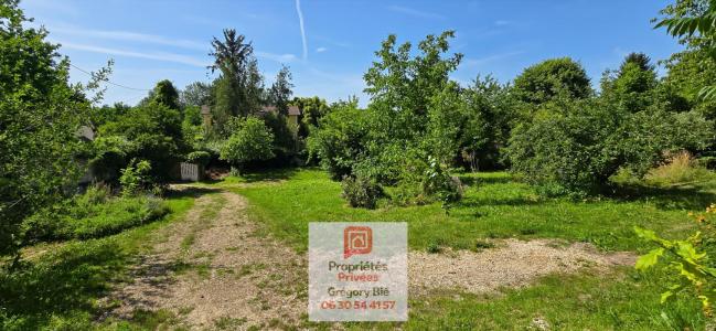 Life-annuity Ferte-sous-jouarre 7 rooms 220 m2 Seine et marne (77260) photo 3