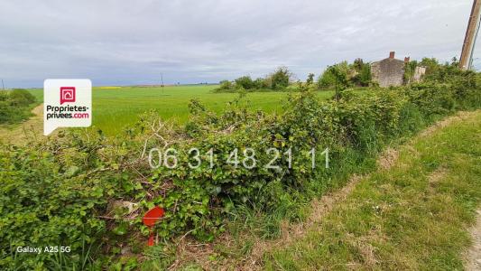 Annonce Vente Terrain Montreuil 85
