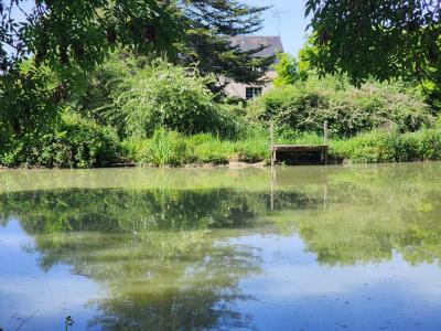 For sale Perrusson 16 rooms 352 m2 Indre et loire (37600) photo 3