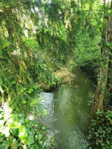 For sale Perrusson 16 rooms 352 m2 Indre et loire (37600) photo 4