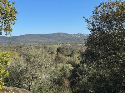 For sale Sotta 5 rooms 130 m2 Corse (20146) photo 3