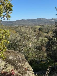 For sale Sotta 5 rooms 130 m2 Corse (20146) photo 4
