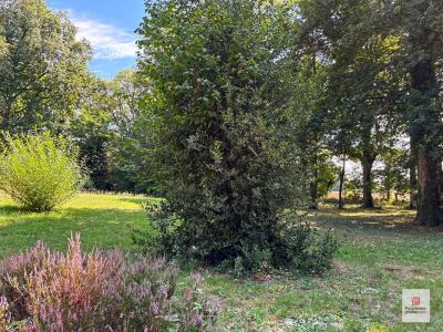 Acheter Maison 203 m2 Durtal