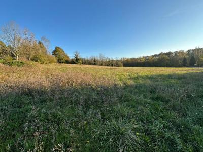 For sale Saint-jean-de-cole 3100 m2 Dordogne (24800) photo 0