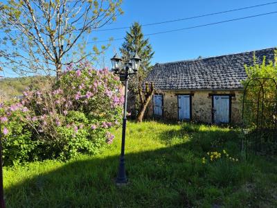 Annonce Vente 11 pi�ces Maison Saint-bonnet-elvert 19