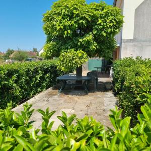 Annonce Vente 3 pi�ces Appartement  71