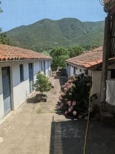 Annonce Vente 9 pi�ces Maison  66