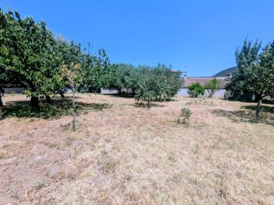 Acheter Terrain  119000 euros