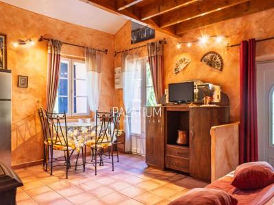 Annonce Vente 8 pi�ces Maison Chateauneuf-miravail 04