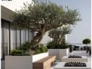 For sale Apartment Tassin-la-demi-lune GARE DE TASSIN 130 m2 5 pieces