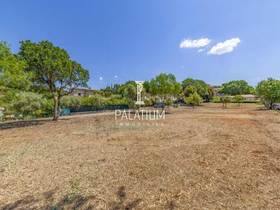 Acheter Terrain Greoux-les-bains 124500 euros