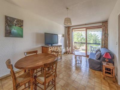 Annonce Vente 2 pi�ces Appartement Greoux-les-bains 04