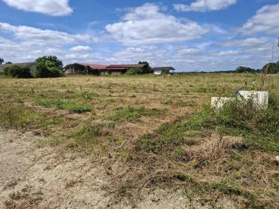 Annonce Vente Terrain Maurrin 40