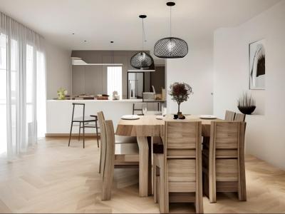 Annonce Vente 3 pi�ces Appartement Douvaine 74