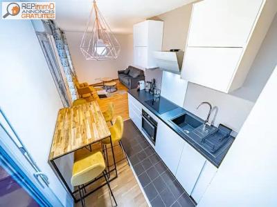 Appartement Nice 550 euros