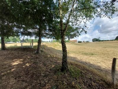 Annonce Vente 5 pi�ces Maison Grury 71