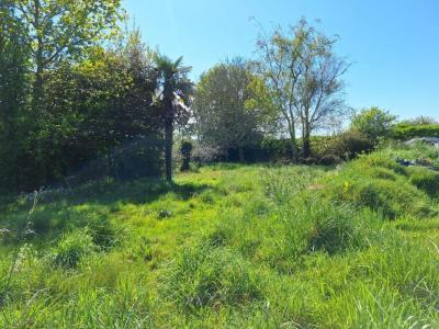 Annonce Vente Terrain Lesconil 29