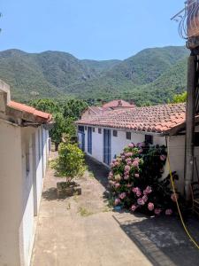 Annonce Vente 9 pi�ces Maison  66