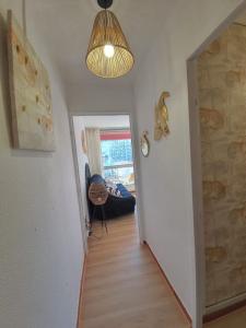 Louer Appartement  570 euros