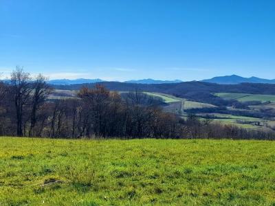 For sale Bidache 30000 m2 Pyrenees atlantiques (64520) photo 0