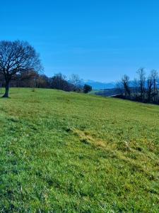 Annonce Vente Terrain Bidache 64