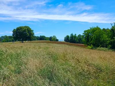 Acheter Terrain Bidache 360000 euros
