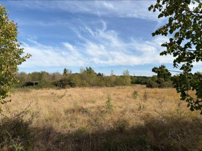Annonce Vente Terrain Neuillay-les-bois 36