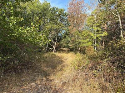Acheter Terrain Neuillay-les-bois Indre