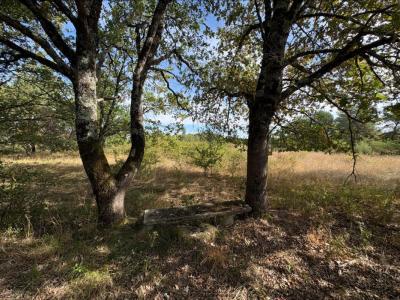 Acheter Terrain Neuillay-les-bois 45240 euros